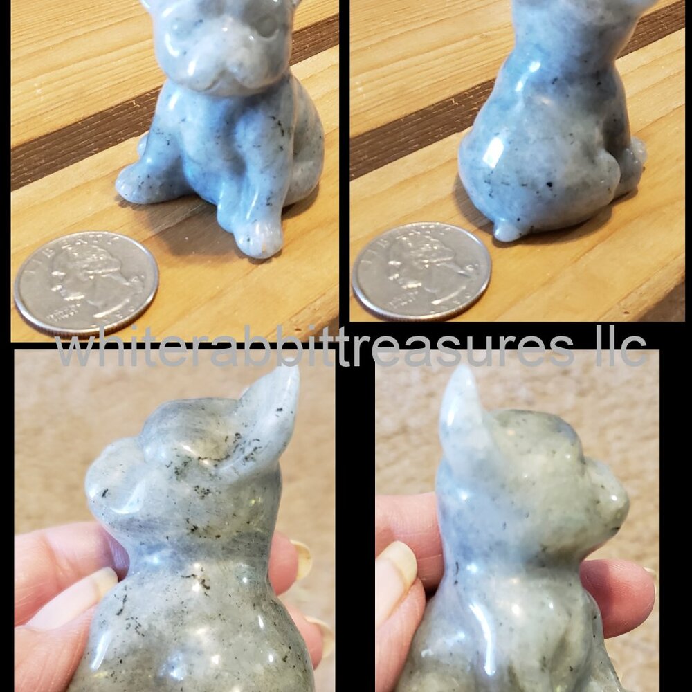 2.3x1.7x1.4" No Flash Labradorite Dog